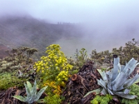 Mirador Caldera de Los Marteles